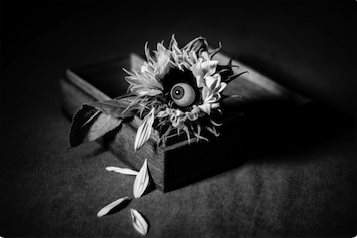 Still life with sunflower and glass eye